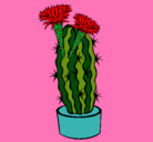 Dibujo Cactus con flores pintado por PATY