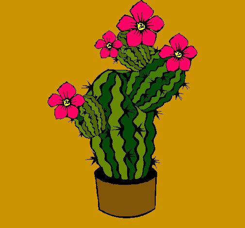 Flores de cactus