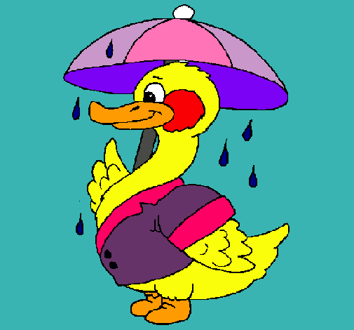 Pato bajo la lluvia