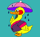 Dibujo Pato bajo la lluvia pintado por juanma