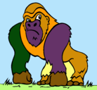 Dibujo Gorila pintado por jacobo