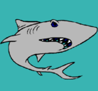 Dibujo Tiburón pintado por josue