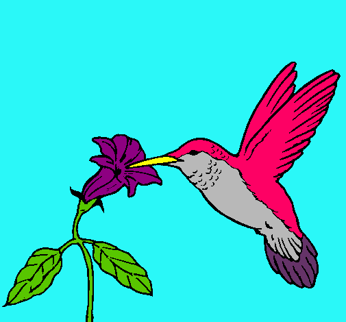 Colibrí y una flor