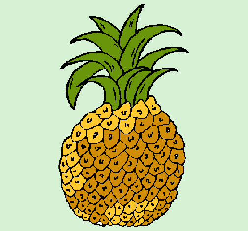 piña