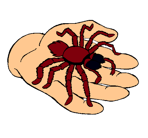 Tarántula