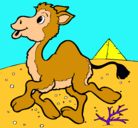Dibujo Camello pintado por jaime