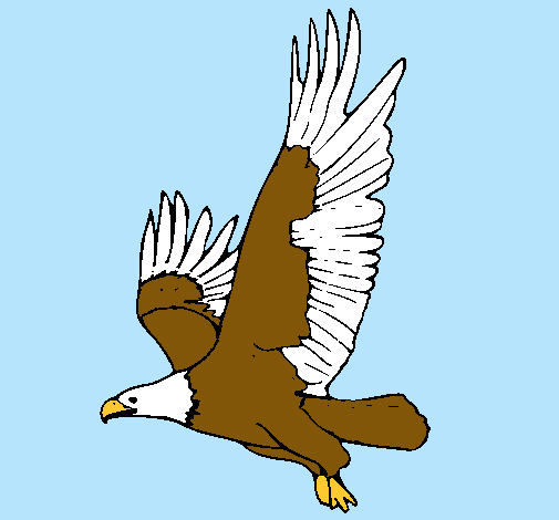 Dibujo de Águila volando pintado por Gatita en  el día 07-10-10  a las 04:50:27. Imprime, pinta o colorea tus propios dibujos!