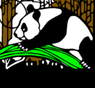 Dibujo Oso panda comiendo pintado por pablo