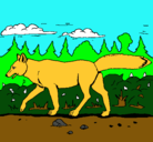 Dibujo Coyote pintado por Elias