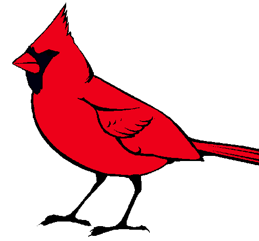 Cardinal