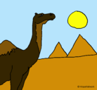 Dibujo Camello pintado por neidy