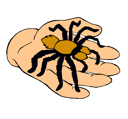 Tarántula