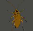 Dibujo Cucaracha grande pintado por oriol
