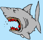 Dibujo Tiburón pintado por julian