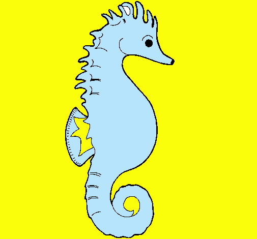 Caballito de mar