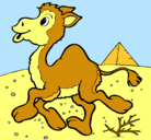 Dibujo Camello pintado por tomas