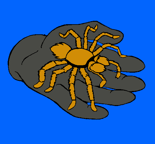 Tarántula