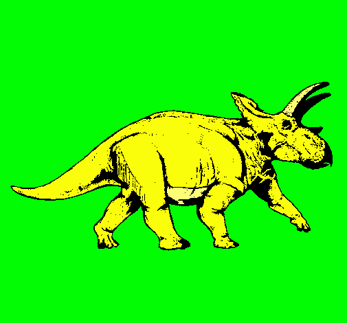 Triceratops