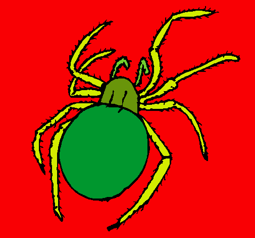 Araña venenosa