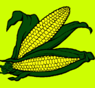 Dibujo Mazorca de maíz pintado por danii