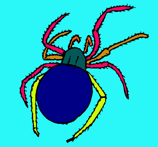 Araña venenosa