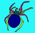 Dibujo Araña venenosa pintado por myjose