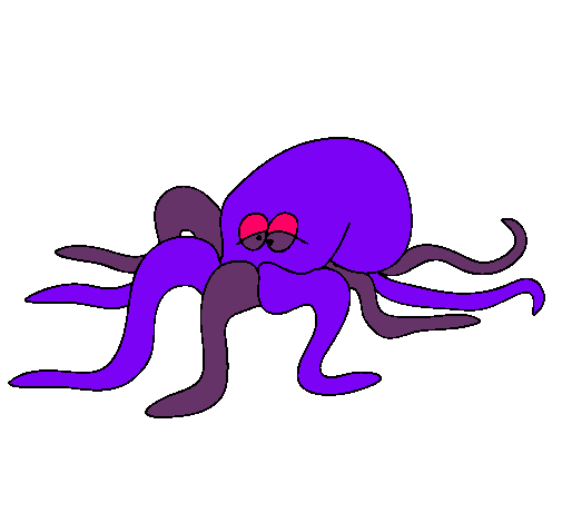 Pulpo