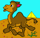 Dibujo Camello pintado por enara