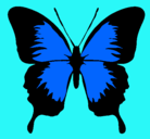 Dibujo Mariposa con alas negras pintado por mariposaazul