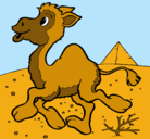 Dibujo Camello pintado por aghata