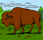 Dibujo Búfalo  pintado por raquel