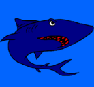 Dibujo Tiburón pintado por leo