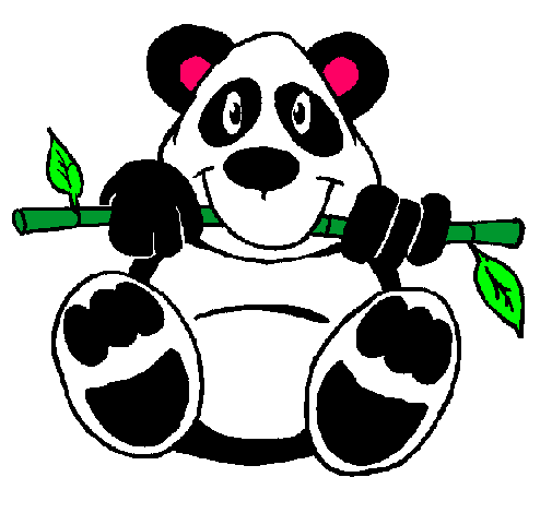 Oso panda