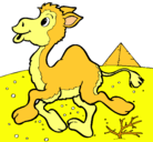 Dibujo Camello pintado por yesi