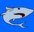 Dibujo Tiburón pintado por tiburonsin