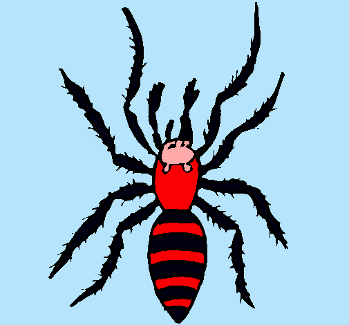 Araña tigre