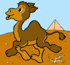 Dibujo Camello pintado por ISABELBEATRIZ