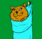 Dibujo Gato dentro de una calcetín pintado por NATALI