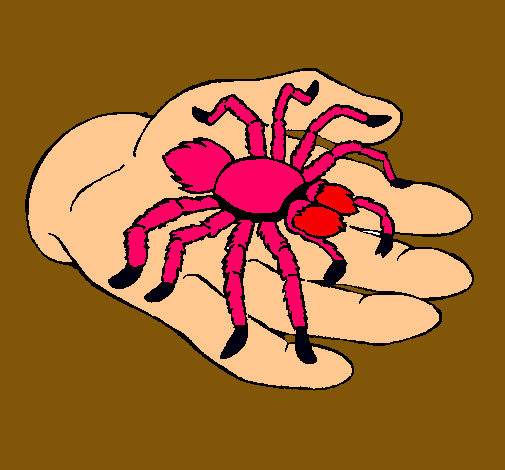 Tarántula