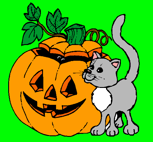 Calabaza y gato