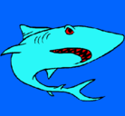 Dibujo Tiburón pintado por Gilberto