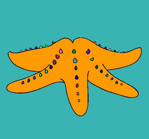 Estrella de mar