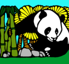 Dibujo Oso panda y bambú pintado por sebastianvelez