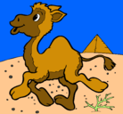 Dibujo Camello pintado por julan