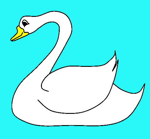 Cisne