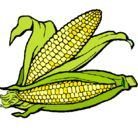 Dibujo Mazorca de maíz pintado por Juliaa
