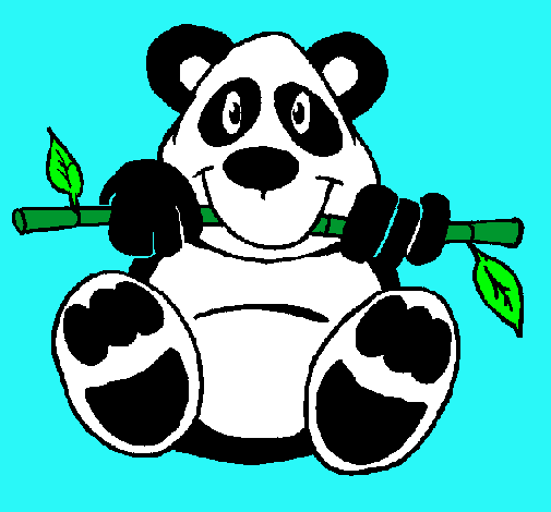 Oso panda