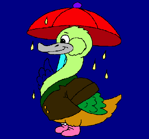 Pato bajo la lluvia