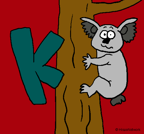 Koala