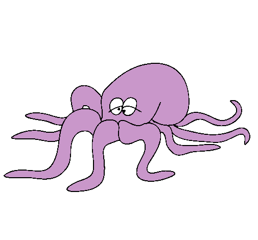 Pulpo